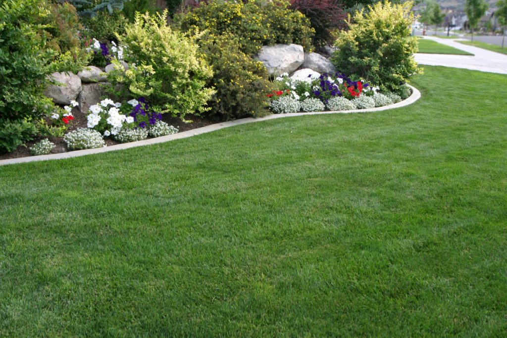 Spring front yard clean-up at a Cicero, IL home