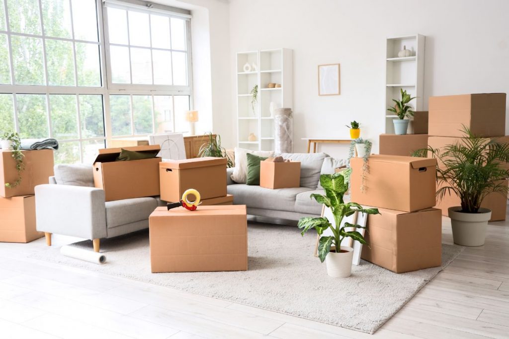 Cicero IL living room during light preparation for selling a home